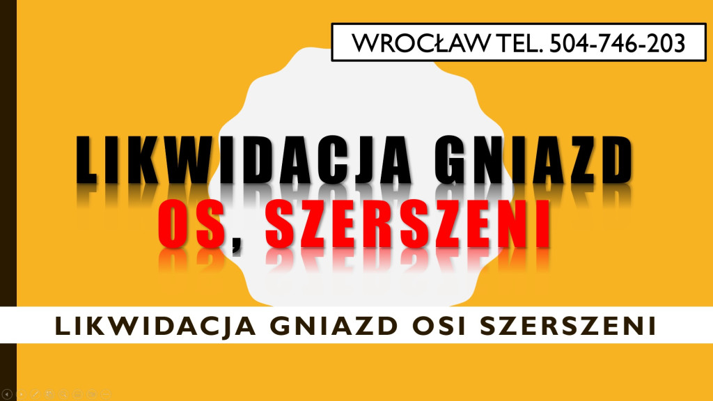 Likwidacja gniazd os i sz...