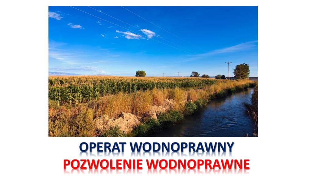 Ile kosztuje pozwolenie w...