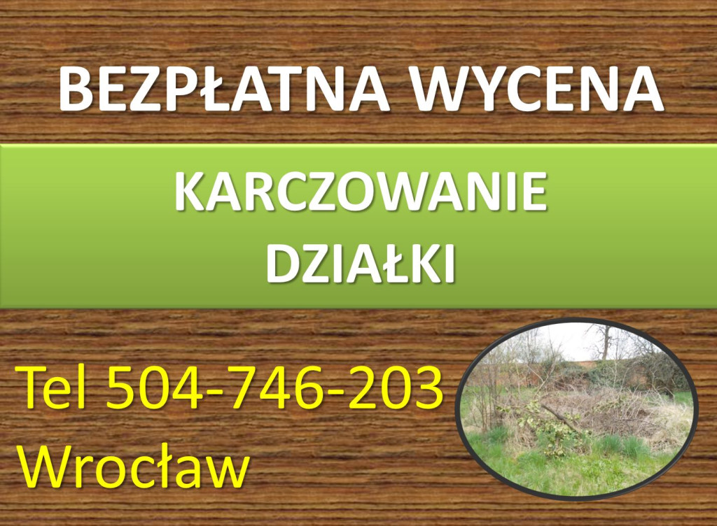 Karczowanie działki, cena...