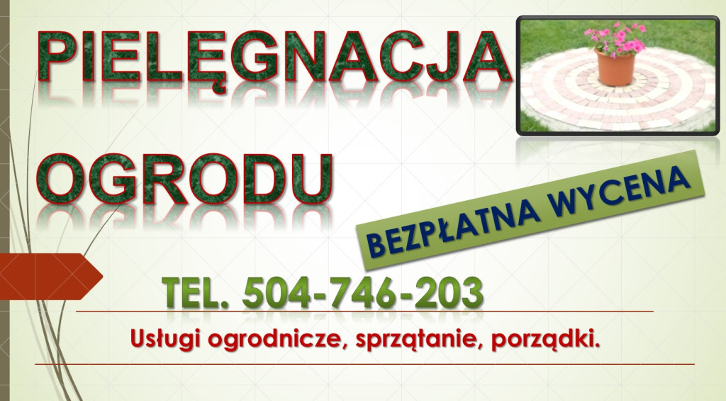 Sprzątanie działek Wrocła...