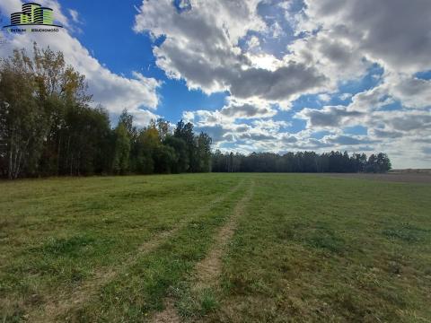 Działki Siedliskowe-Rafał...