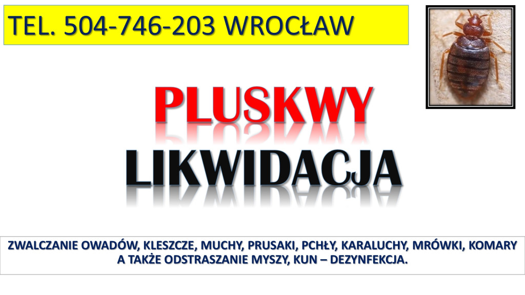 Usunięcie pluskiew z mies...