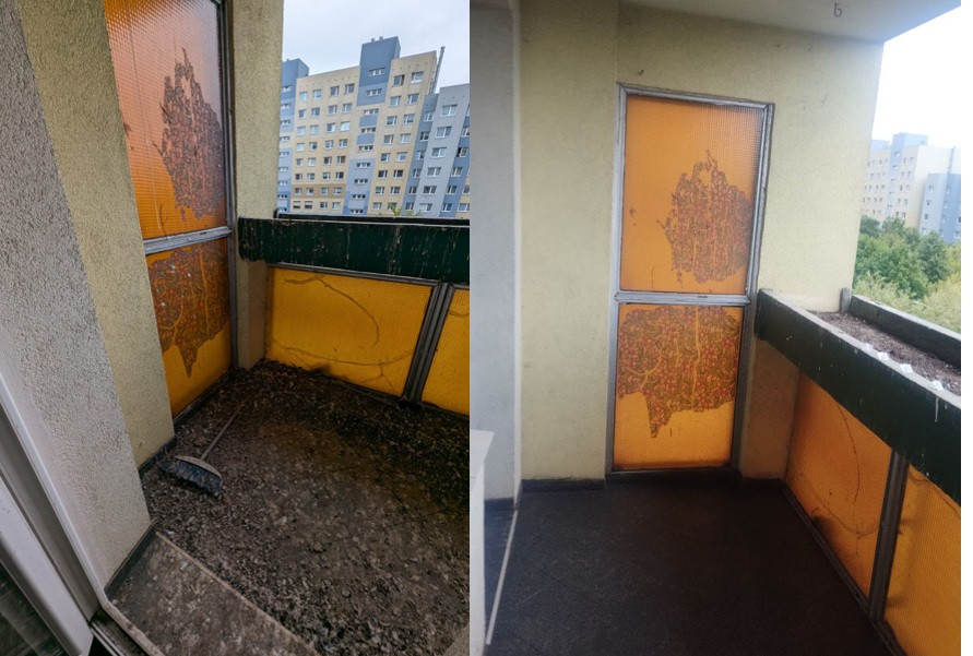 Usuwanie odchodów po gołę...