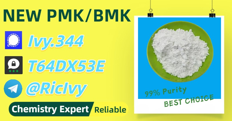 Certified Expert Channel...