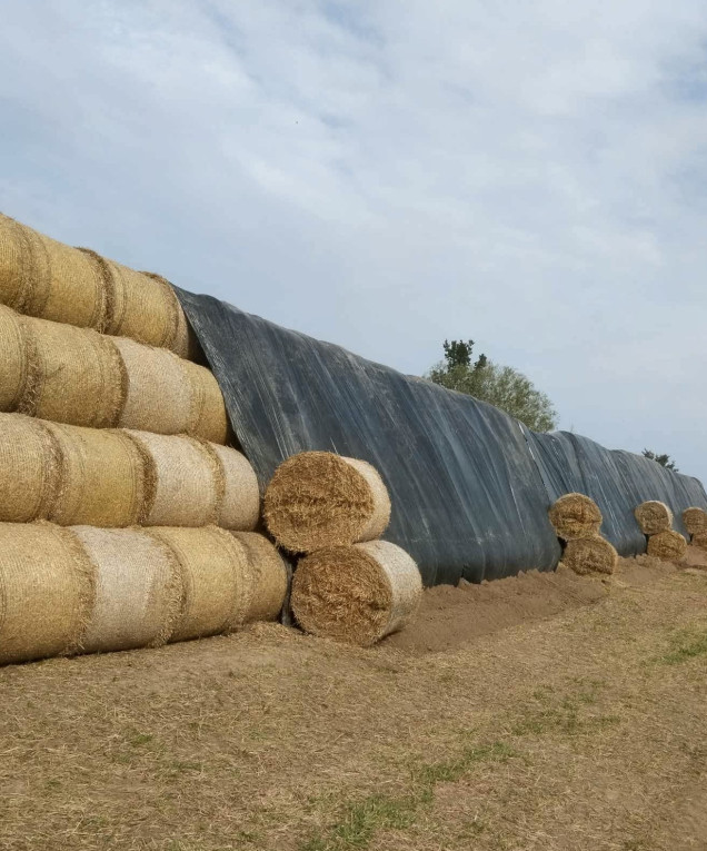 Zatrudnię do pracy w gosp...